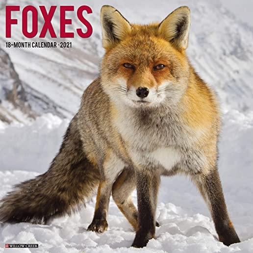 Foxes 2021 Wall Calendar