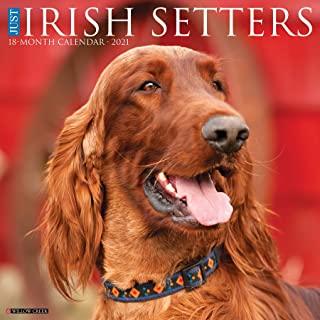 Just Irish Setters 2021 Wall Calendar (Dog Breed Calendar)