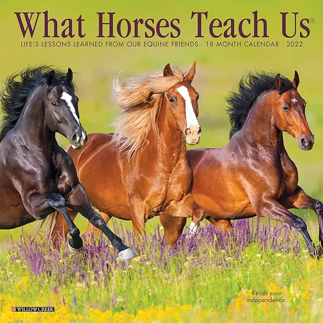 What Horses Teach Us 2022 Mini Wall Calendar