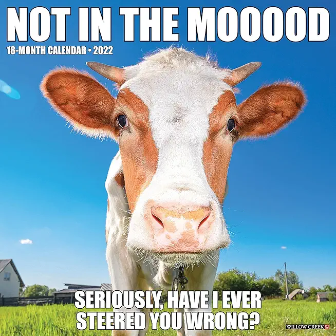 Not in the Mooood 2022 Wall Calendar (Cows)