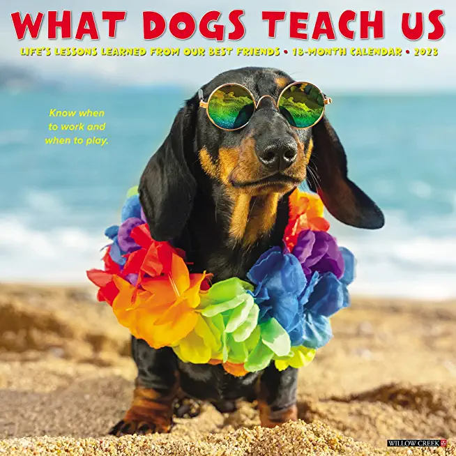 What Dogs Teach Us 2023 Wall Calendar