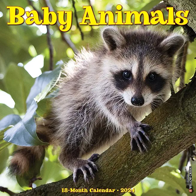 Baby Animals 2024 12 X 12 Wall Calendar