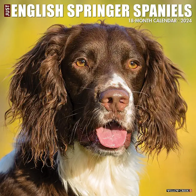 Just English Springer Spaniels 2024 12 X 12 Wall Calendar