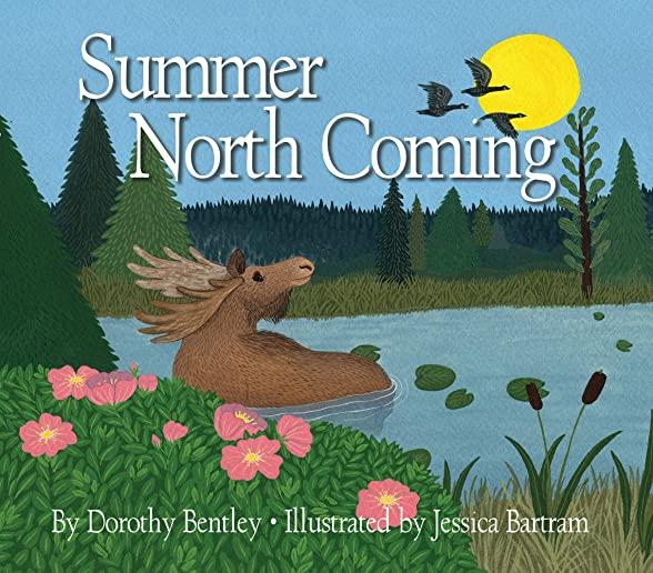 Summer North Coming