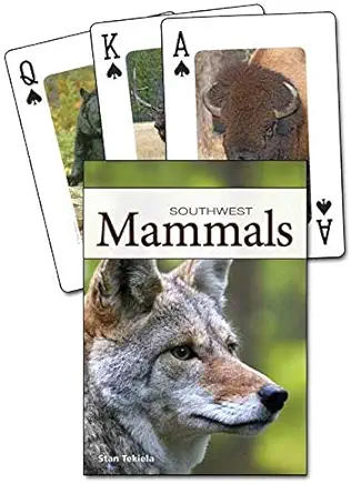 Mammals of the Southwest