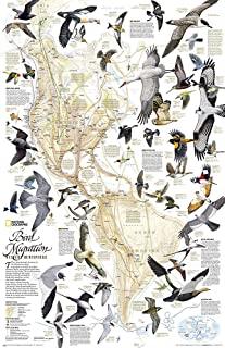 National Geographic: Bird Migration, Western Hemisphere Wall Map (20.25 X 31.25 Inches)