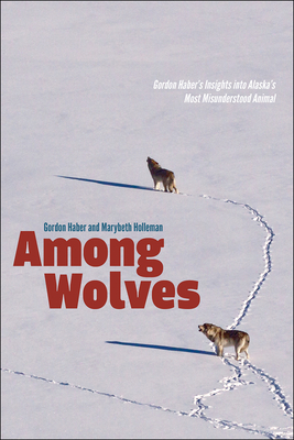 Among Wolves: Gordon Haber's Insights Into Alaska's Most Misunderstood Animal