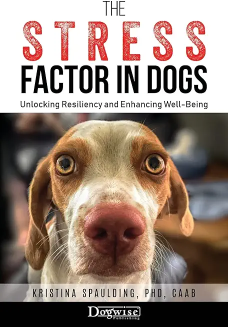 The Stress Factor in Dogs: Unlocking Resiliency and Enhancing Well-Being