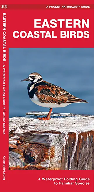 Eastern Coastal Birds: A Waterproof Folding Guide to Familiar Species