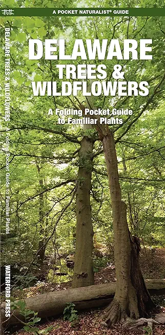 Delaware Trees & Wildflowers: A Folding Pocket Guide to Familiar Species