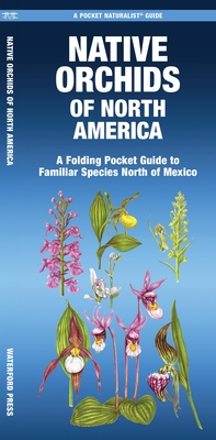 Native Orchids of North America: A Folding Pocket Guide to Familiar Species North of Mexico