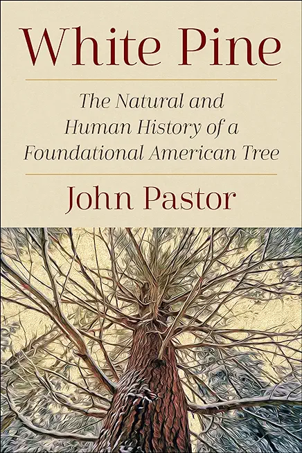 White Pine: The Natural and Human History of a Foundational American Tree