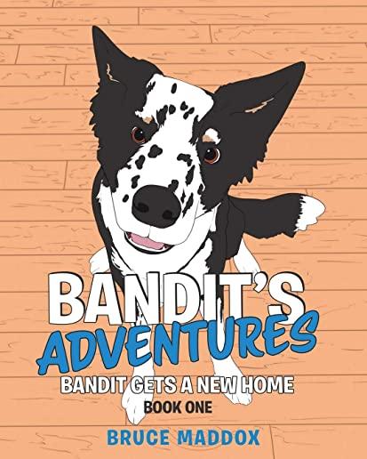 Bandit's Adventures: Bandit Gets a New Home