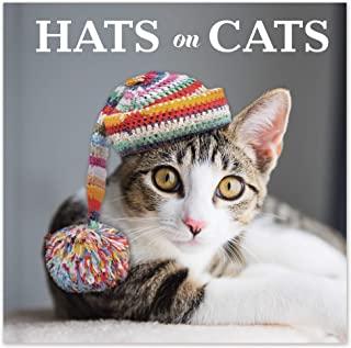 Hats on Cats