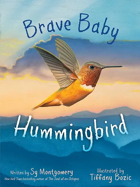 Brave Baby Hummingbird