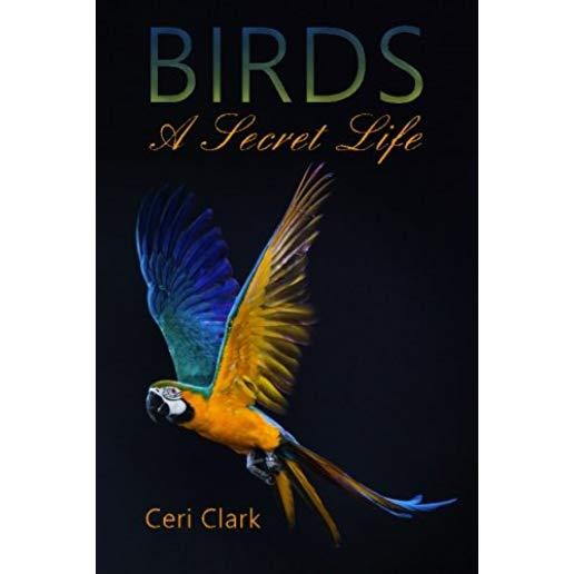 Birds A Secret Life: A disguised password book and personal internet address log for bird lovers