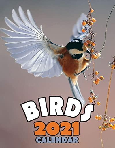Birds 2021 Calendar