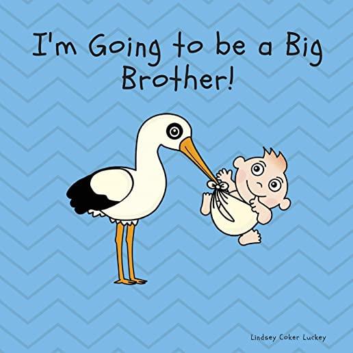 I'm Going to Be a Big Brother