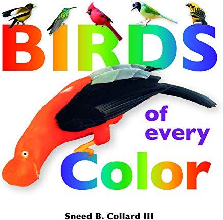 Birds of Every Color