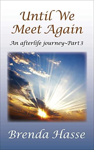 Until We Meet Again: An afterlife journey - Part 3