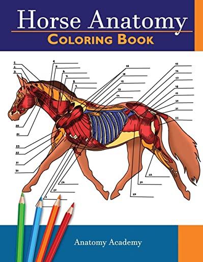 Horse Anatomy Coloring Book: Incredibly Detailed Self-Test Equine Anatomy Color workbook - Perfect Gift for Veterinary Students, Horse Lovers & Adu