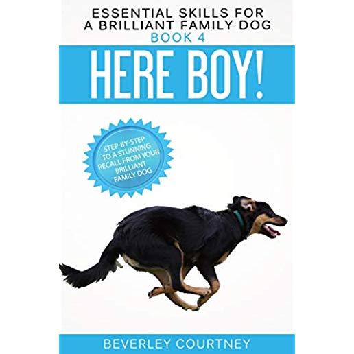 Here Boy!: Step-by-Step to a Stunning Recall from your Brilliant Family Dog