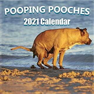 Pooping Pooches 2021-2022 Wall Calendar: Hilarious Holiday Gift Guide with 18 High Quality Pictures of Adorable Dogs Pooping, Matte Cover Finish: Hila