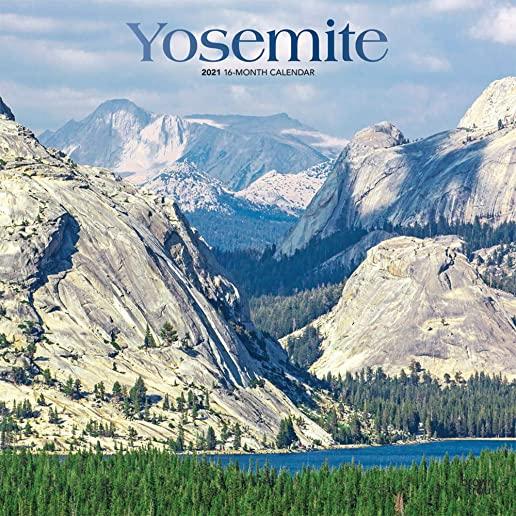 Yosemite 2021 Square Foil