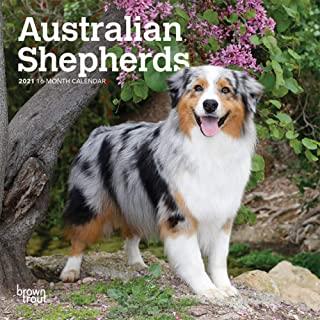 Australian Shepherds 2021 Mini 7x7