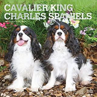 Cavalier King Charles Spaniels 2021 Square Foil