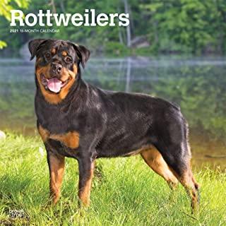Rottweilers 2021 Square