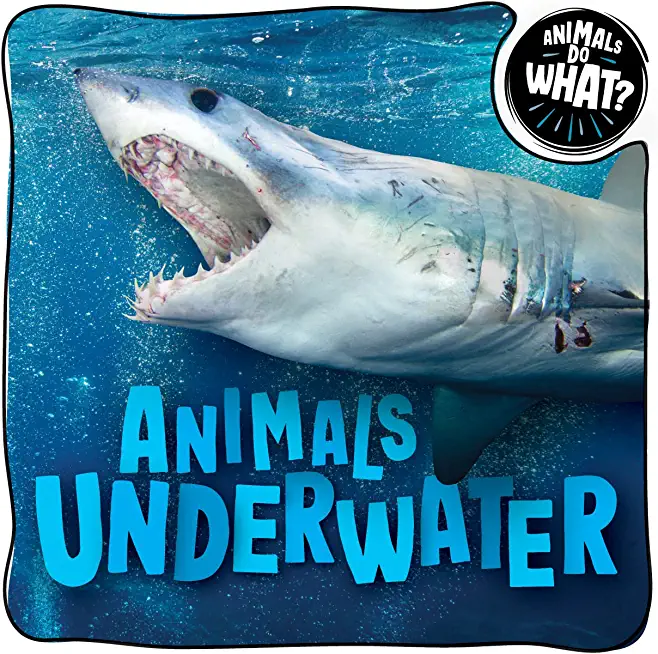 Animals Underwater