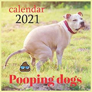 Pooping dogs calendar: 2021 Wall Calendar - Dogs and Puppies Crossbreeds Calendar, 8.5x 8.5 Inch Monthly View, 12-Month, Pets, and Animals Th