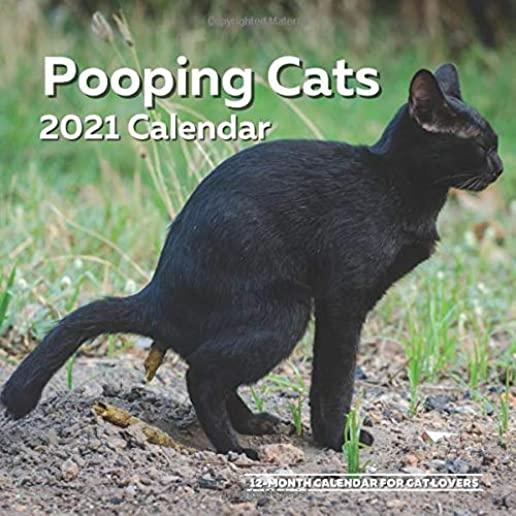 Pooping Cats Calendar 2021: Funny Cat Lover Wall Calendar Gag Joke Gift - Women, Men, Crazy Lady, Birthday, White Elephant Party, Secret Santa, Ex