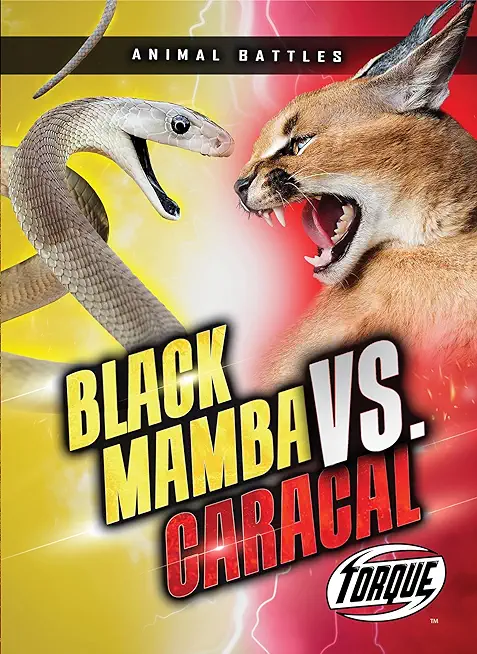 Black Mamba vs. Caracal