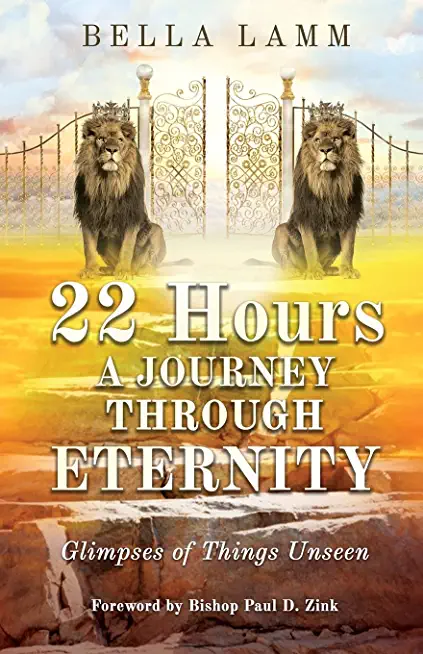 22 Hours: A Journey Through Eternity: Glimpses of Things Unseen