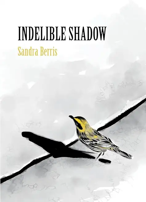 Indelible Shadow