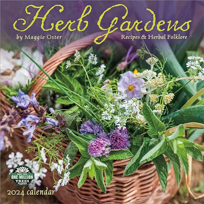 Herb Gardens 2024 Wall Calendar: Recipes & Herbal Folklore by Maggie Oster